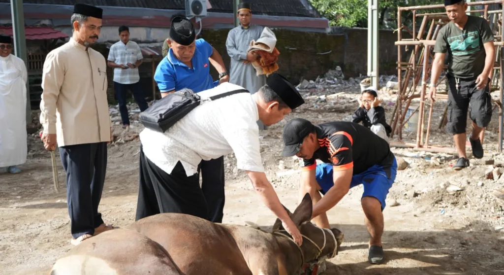 Kurban Atas Nama Orang Meninggal: Hukum, Dalil, dan Tata Caranya Menurut Ulama