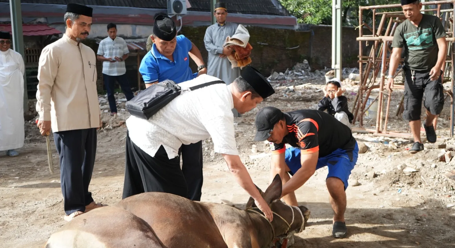 Kurban Atas Nama Orang Meninggal: Hukum, Dalil, dan Tata Caranya Menurut Ulama
